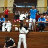 tigerpokal_2011 17